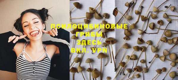 бошки Вязьма
